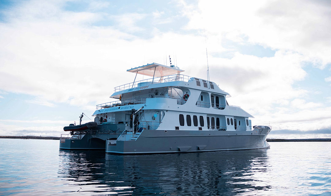  Slide Exterior Alya Catamaran - Galagents