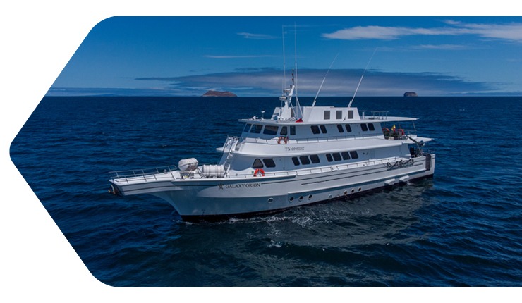 Galaxy Orion - Exterior