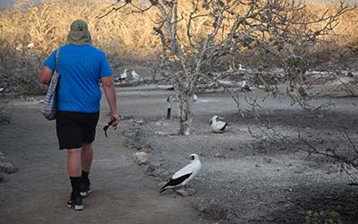 Activities Slide Galaxy Yacht - Galagents Cruises